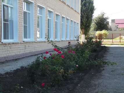 Погода успенка нехаевский