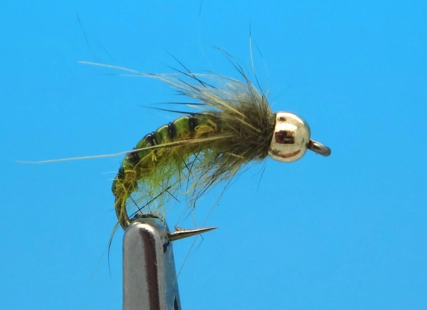 Муха ручейник нимфа. Нахлыстовая мушка поденка. Caddis larva мушка. Мушка опарыш. Муха ручейник нимфа.