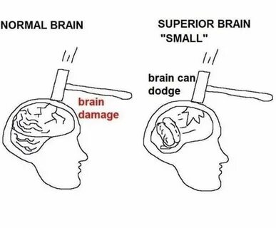 Small brain