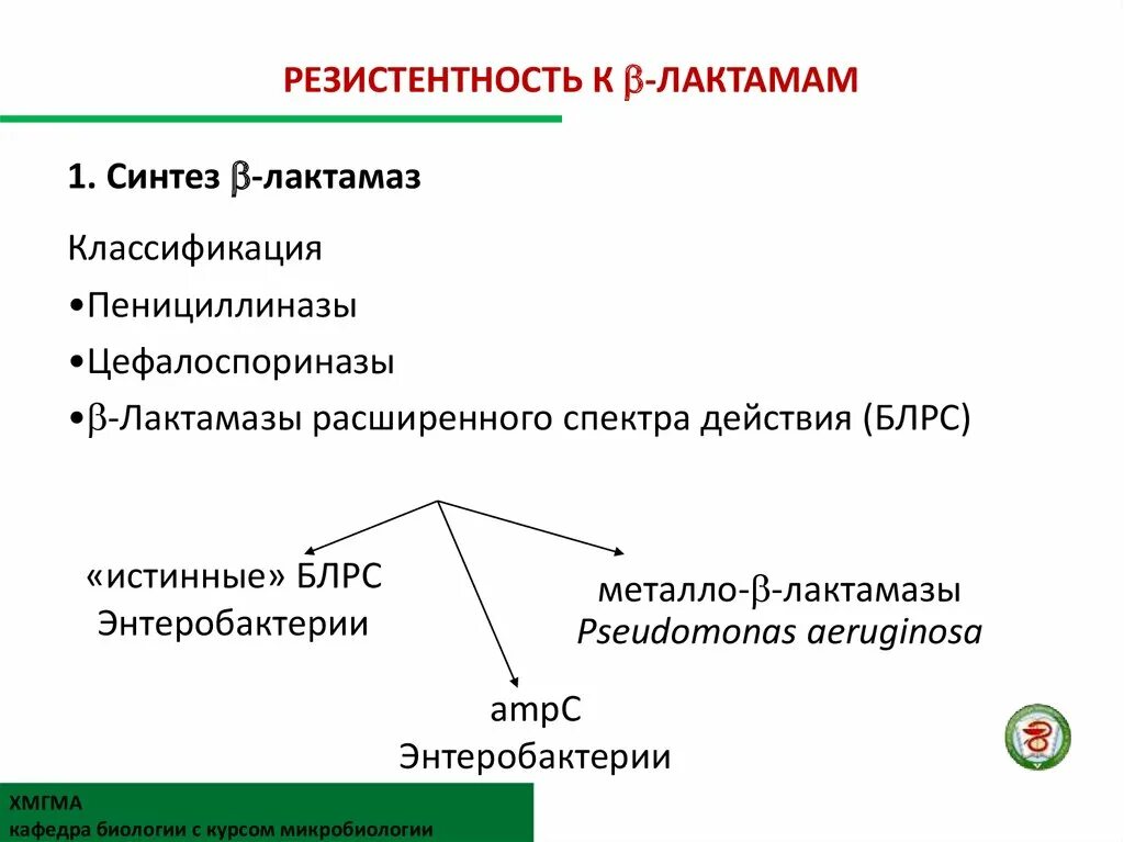 Классификация резистентности. Резистентность лактамов. Механизм формирования резистентности к β-лактамам. Классификация бета лактамаз.