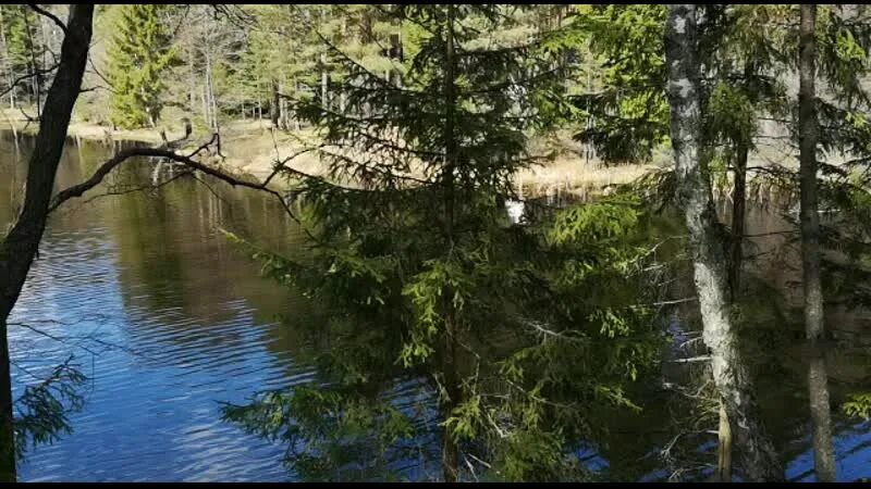 Рыбалка калинов ручей. Песня калинов ручей слушать. Песня калинов ручей слушать. Песня калинов ручей слушать. Русские народные песни ой цветет калина.