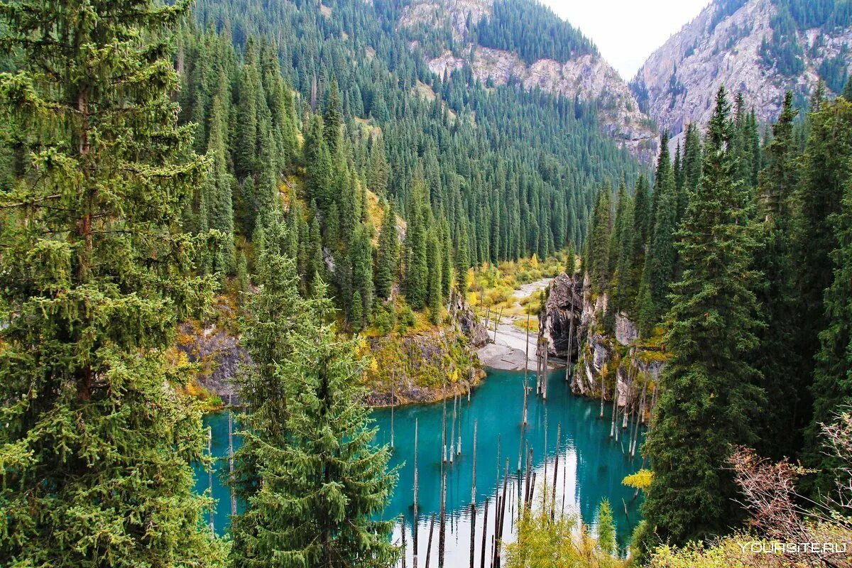 Natural kazakhstan. Natural kazakhstan. Горы киргизии алатау. Горы алатау в казахстане. Тянь шань заилийский алатау.