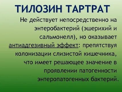 Действует непосредственно