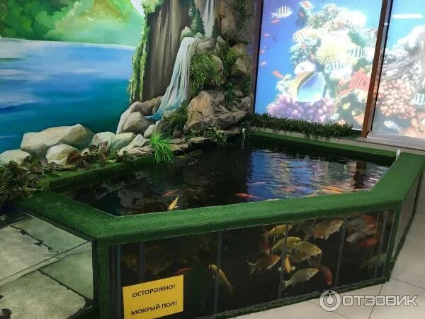 Морские рифы отель анапа. Дельфинарий риф анапа. Риф анапа отзывы. Пансионат морские рифы анапа. Океанариум риф анапа.