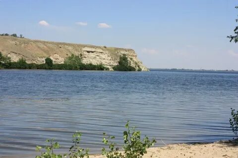 Стрельноширокое волгоградская область дубовский
