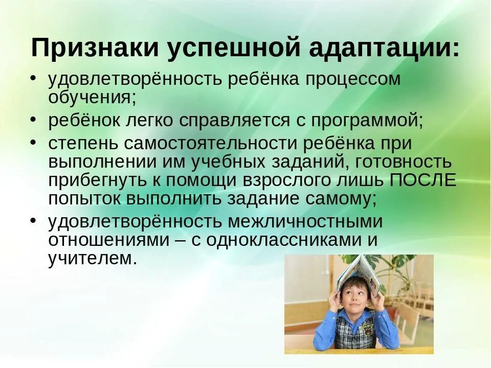 Помогут адаптироваться
