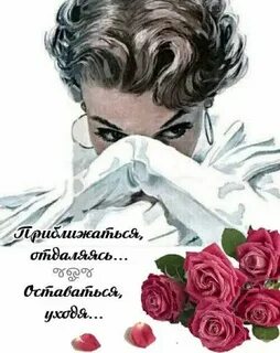 Глаза случайно посмотрели и словно тысячи огней