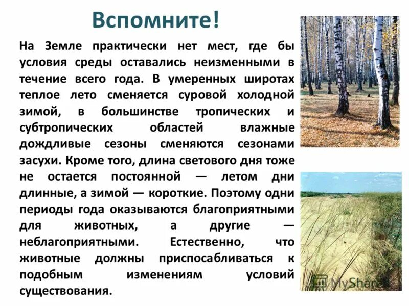 Изменение условий среды. Карбон условия среды. основным сигнальным фактором среды в умеренных широтах является…. умеренно теплое лето. сигнальный фактор среды в умеренных широтах.