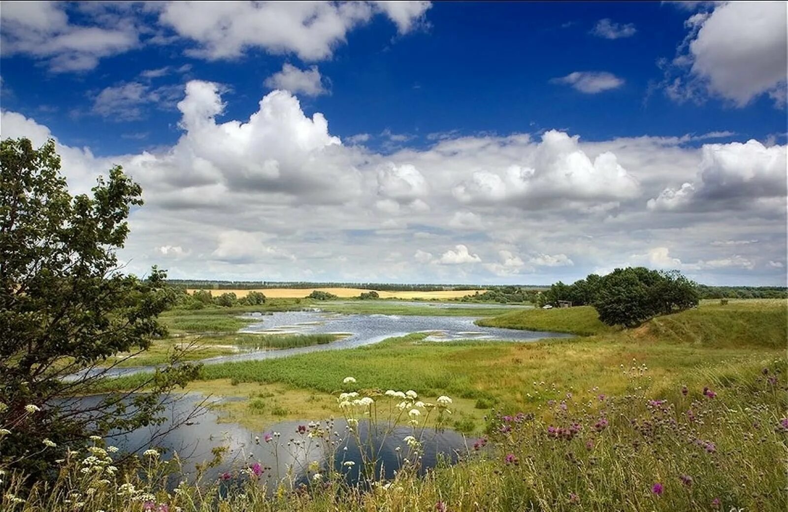 Родина природа. Природа нашей Родины. Родина Россия. Родина родной край.