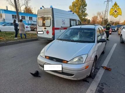 Водитель в калуге