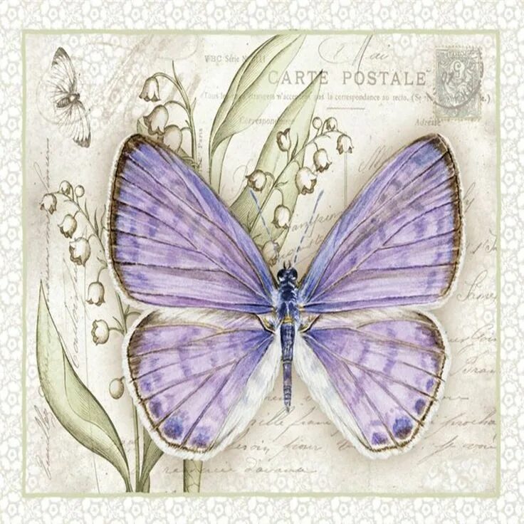 Бабочки художник Jane Shasky. Рисунки для декупажа. Винтажные бабочки для декупажа. Картина бабочки.