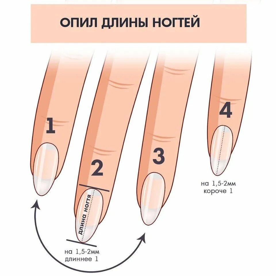 Схема опила длины ногтей. Опил формы миндаль схема. Схема опила нарощенных ногтей миндаль. Схема правильного опила форм ногтей.