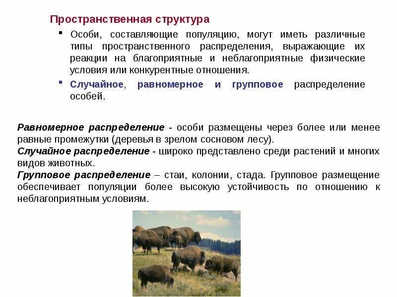 Составляющие популяции. Функции особей в популяции. Географическая и экологическая популяция. Пространственная структура популяции. Характеристики популяции.
