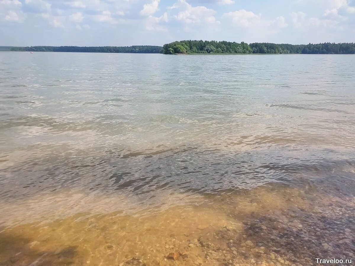 Пляж ламишино истринское водохранилище. Вода в истринском водохранилище. Вода в истринском водохранилище. Истринское водохранилище пляжи. Вода в истринском водохранилище.