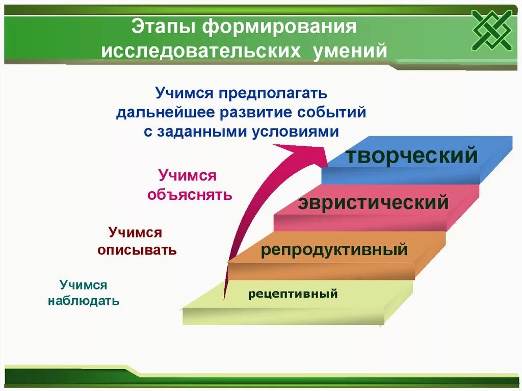 Этапы формирования исследовательских умений. Этапы исследовательской деятельности младших школьников. Этапы формирования исследовательских навыков. Этапы исследовательской работы учащихся.