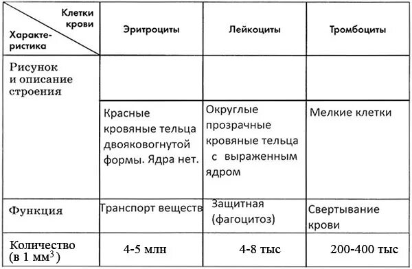 Кровь биология 11 класс. Таблица состав крови биология 8 класс. Состав крови таблица. Клетки крови их строение и функции. Строение и функции клеток крови таблица 9 класс.