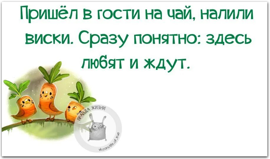 Правда жизни картинки. Смешное правда жизни. Правда жизни приколы. Правда жизни про коллектив. Пришла в гости на чай