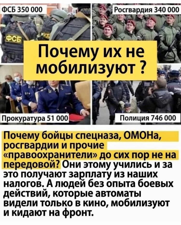 Дайте мне набрать роту элиты. Силовик. мобилизация. дайте мне роту из детей элиты.