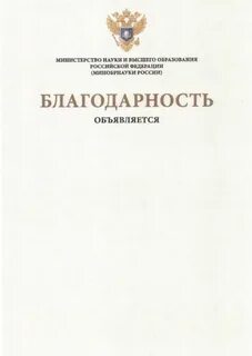 Благодарность министерства образования