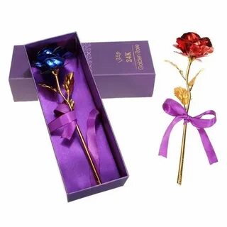 Rose 24