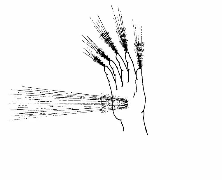 чакры на пальцах ног. энергии левой руки. точки чакр на руках. чакры на ладонях. энергии левой руки.