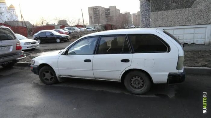 Тойота спринтер универсал. Тойота Спринтер универсал 2000. Toyota Sprinter универсал. Тойота Королла Спринтер универсал. Тойота Спринтер белый универсал.