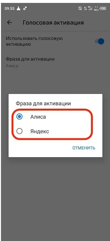 Другой голосовой. Как сделать Алису голосовым помощником на андроид. Голосовая активация. Настройки голосового помощника Алиса на телефоне. Голосовой помощник Алиса как включить на андроиде.