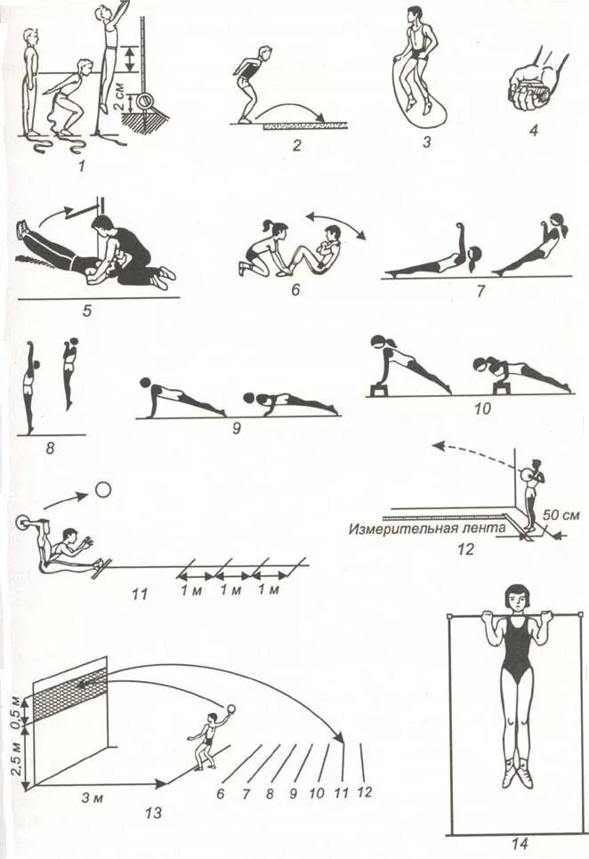 Комплекс упражнений для развития скоростно-силовых способностей. Контрольные тесты для определения уровня развития быстроты. Комплекс упражнений для развития скоростно-силовых качеств. 5 Упражнений для развития скоростно-силовых способностей. Упражнений силовой направленности