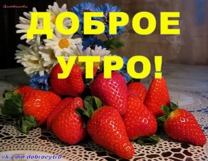 Таня утро