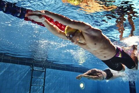 Speedo плавание