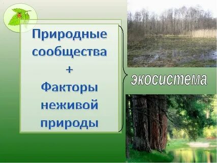 Природные сообщества 3 класс окружающий мир 21 век презентация