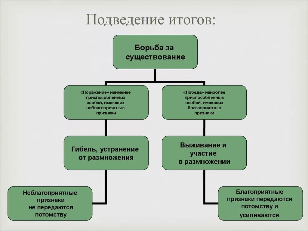 Что является результатом борьбы за существование. Результат борьбы за существование. Факторы эволюции борьба за существование. С условиями среды результат борьбы за существование. Результат борьбы с неблагоприятными условиями.