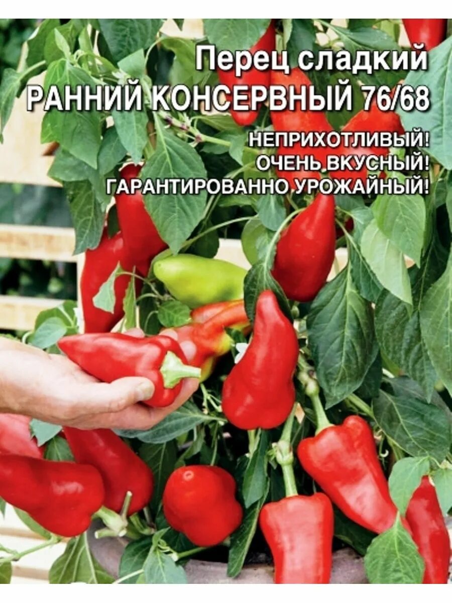 Перец сладкий раннеспелый. Перец раннее чудо f1 5шт (Семко). Перец ранний. Перец гномик. Перец раннее чудо урожайность.