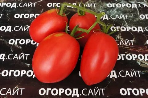 Томат минусинский воловье сердце