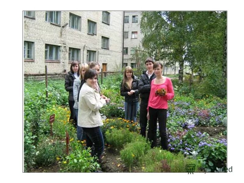 шарьинский политехнический техникум шарья. шарьинский аграрный. шарьинский аграрный. шарьинский аграрный техникум костромской области. шарьинский аграрный техникум фотографии.