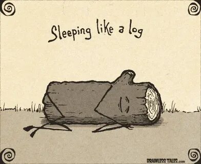 Sleep as a