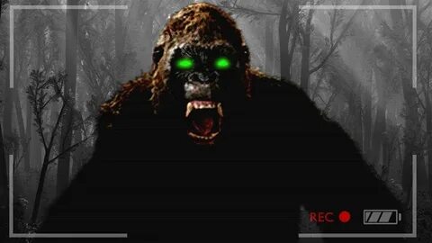 Bigfoot мультиплеер
