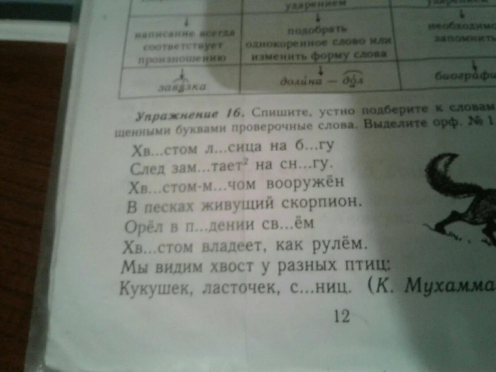 Ласточки проверочное слово. Проверочное слово подчеркни орфограммы. Стрижи проверочное слово к нему. Устно подберите пропущенные слова к словам с пропущенными буквами. 2 слова с безударной гласной в корне слова проверяемые ударением.