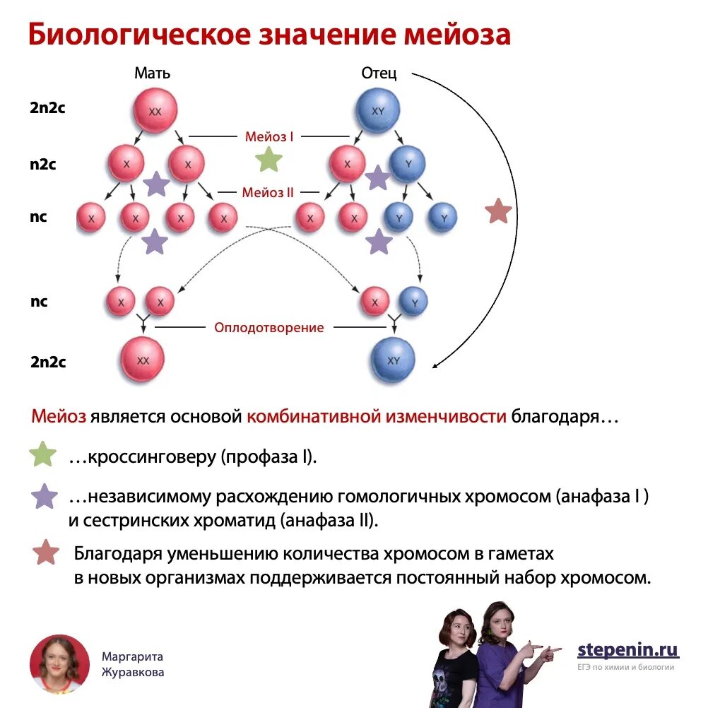 Степенин задание 10. Степенин задание 10