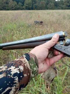 На кого охотятся в сентябре