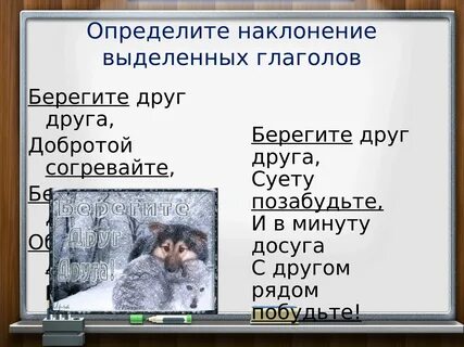 Берегите это глагол