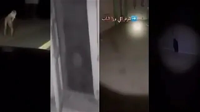 Арабский тик ток