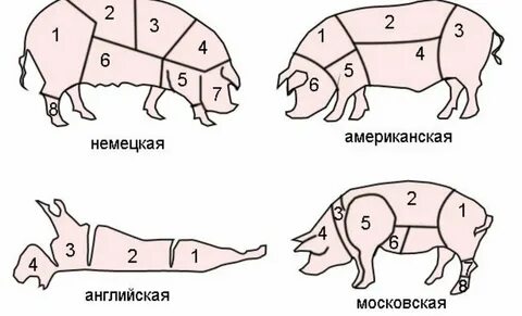 Как разделать тушу свиньи