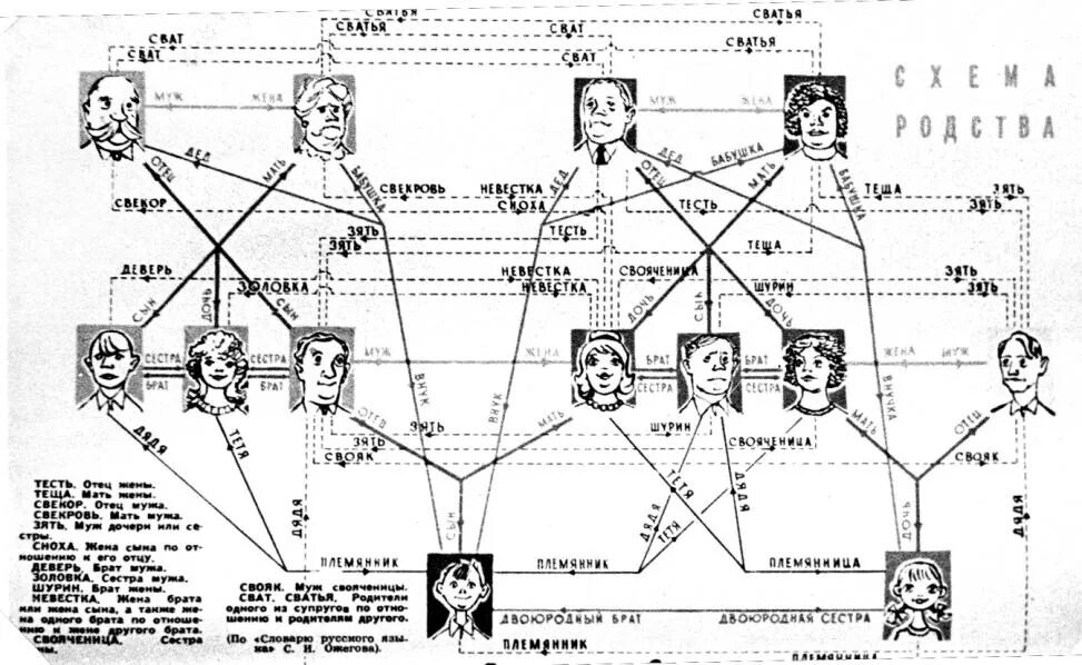 Книгу жена брата. Родственные связи схема родства. Схема родственных связей в семье. Схема кто кому приходится в семье. Родственные связи схема для детей.