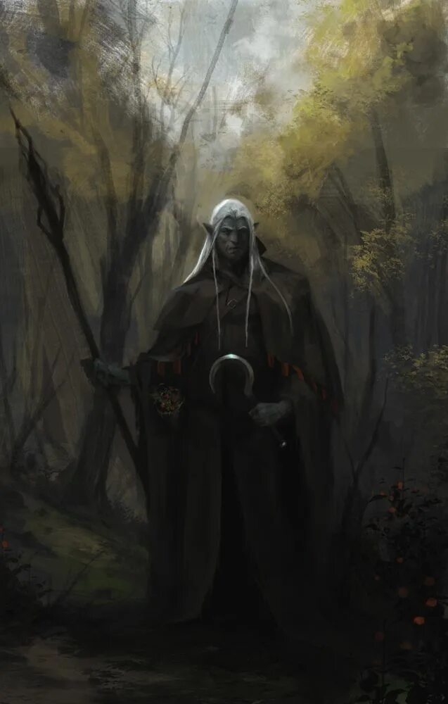 Dark and darker друид. Дроу друид. свартальфхейм эльфы арт. тёмный эльф монах. тёмный друид эльф арт.