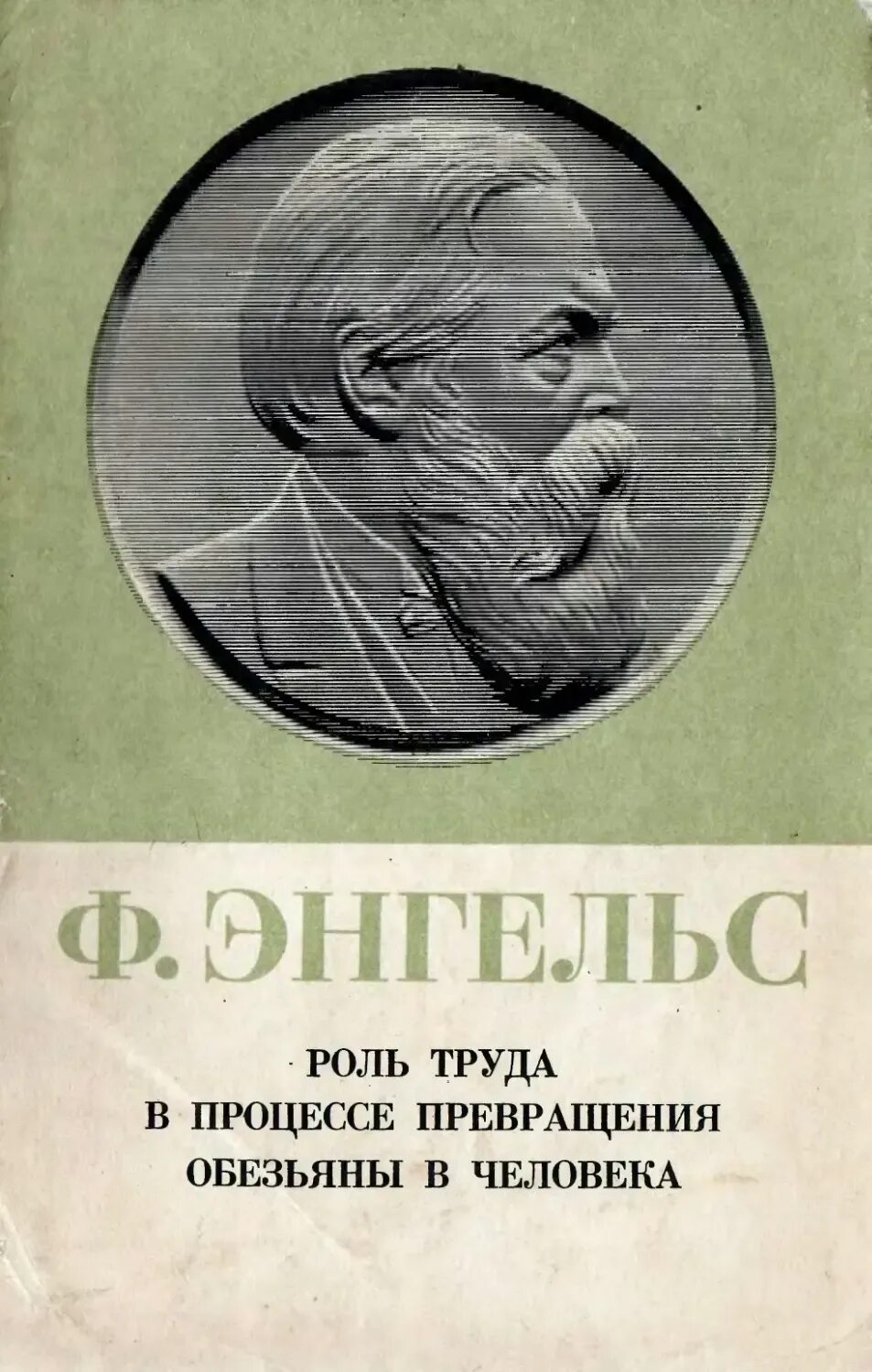 Процесс превращения человека в обезьяну