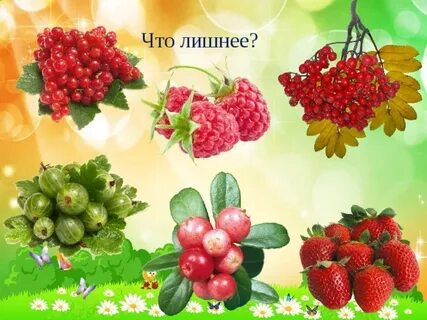 Гр ягода