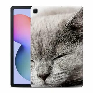 Кот лайт