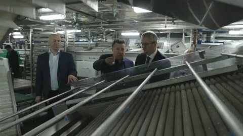 Компания камчатка