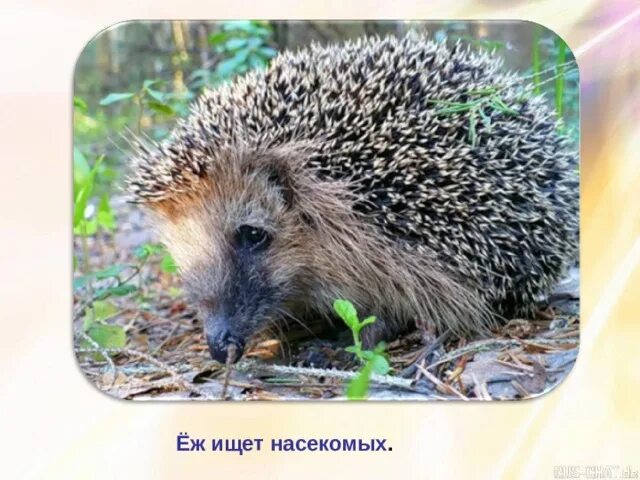 PPT - г. Новомосковск, 2012г. PowerPoint Presentation, free download - ID:374662